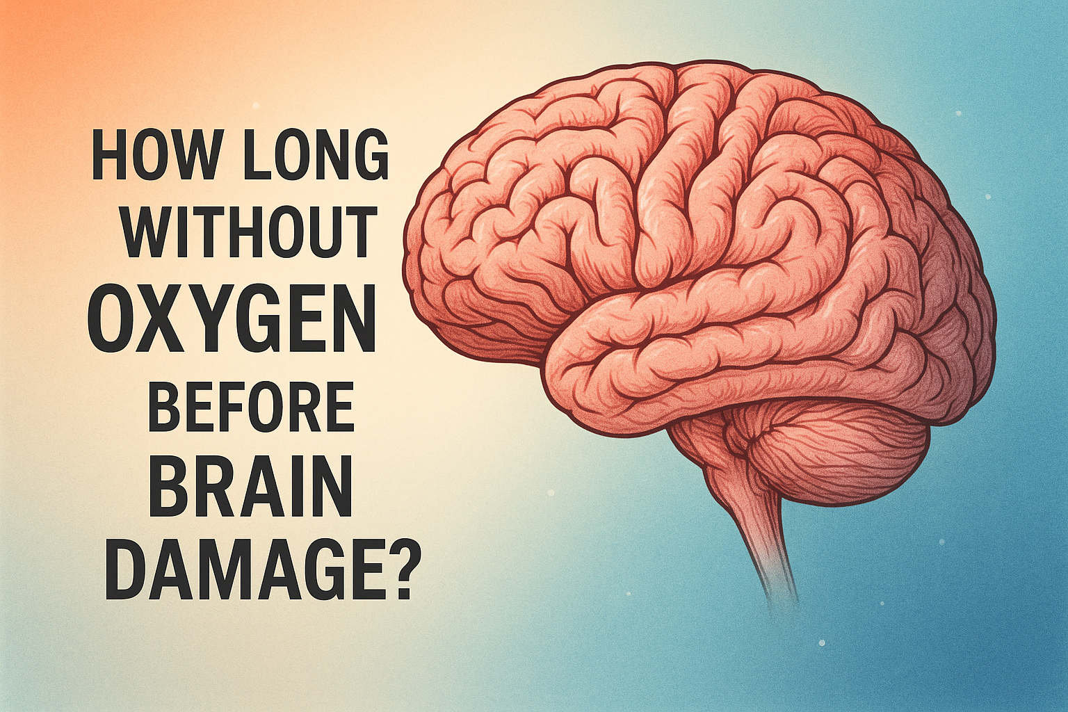How Long Without Oxygen Before Brain Damage? How Long Without Oxygen Before Brain Damage?