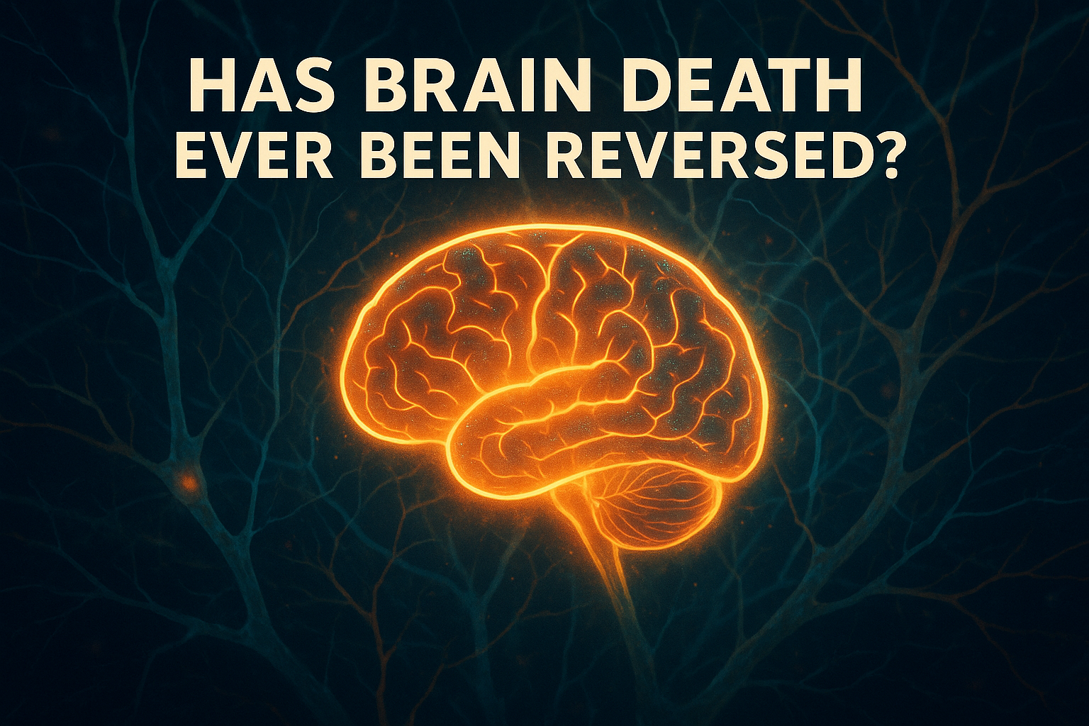 Has Brain Death Ever Been Reversed?